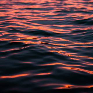 Shiny summer wallpaper