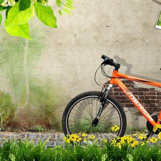 Bike summer wallpaper