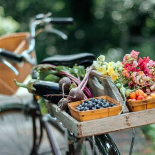 Bike summer wallpaper