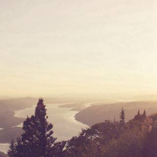 Shiny summer wallpaper