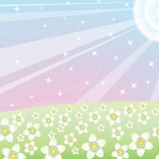 Shiny summer wallpaper