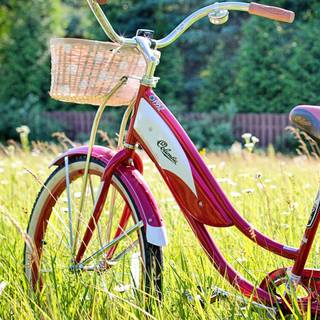 Bike summer wallpaper