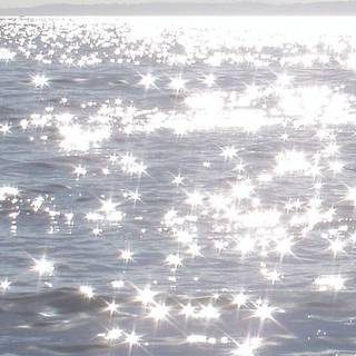 Shiny summer wallpaper