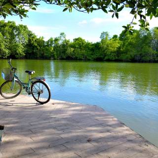 Bike summer wallpaper