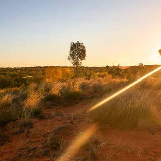 Hot summer season wallpaper