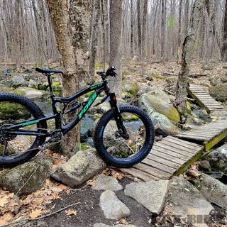 Bike summer wallpaper