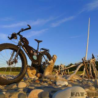 Bike summer wallpaper