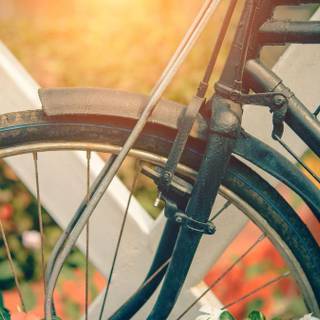 Bike summer wallpaper