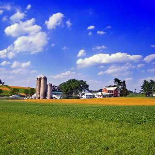 Summer farmland wallpaper