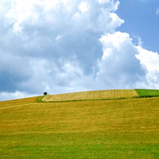 Summer farmland wallpaper