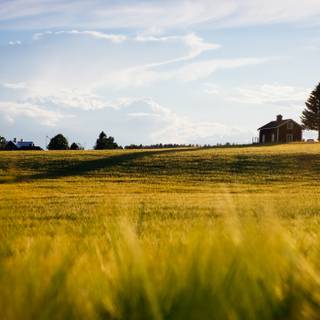 Summer farmland wallpaper