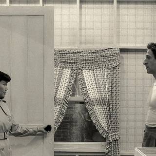 Asteroid City wallpaper