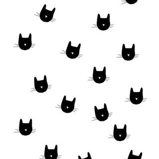 iPhone cat wallpaper