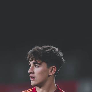 Aesthetic Gavi wallpaper