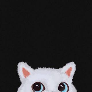 iPhone cat wallpaper