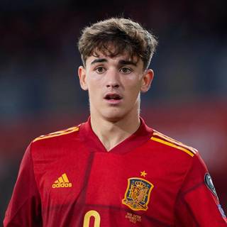 Aesthetic Gavi wallpaper