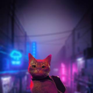 iPhone cat wallpaper