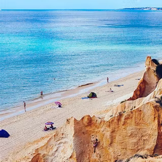 iPhone Max summer wallpaper