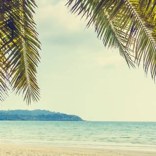 iPhone Max summer wallpaper