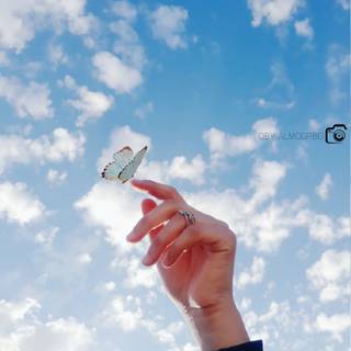 Hands summer wallpaper