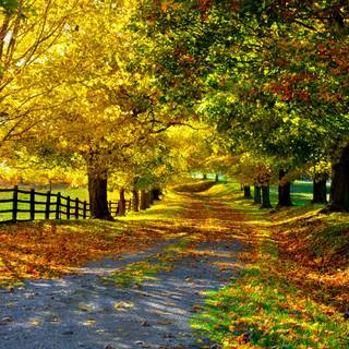 Lovely autumn wallpaper