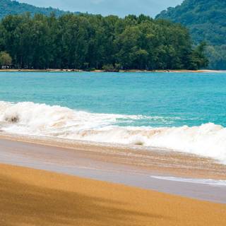 iPhone Max summer wallpaper