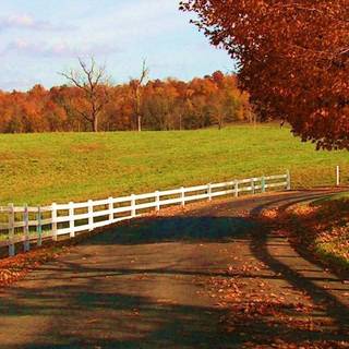 Lovely autumn wallpaper