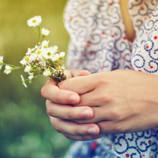 Hands summer wallpaper