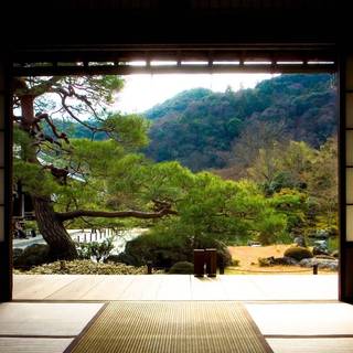 Japan room wallpaper