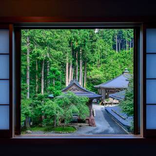 Japan room wallpaper