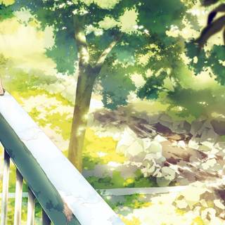 Forest anime 4k wallpaper