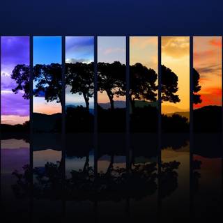 Sunset collage wallpaper