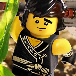 Lego Ninjago Cole wallpaper
