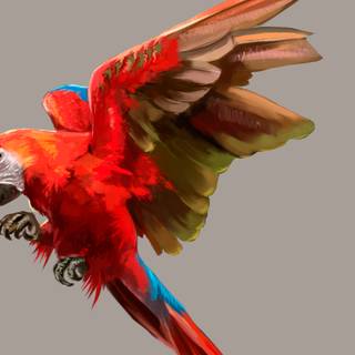 Guacamaya wallpaper