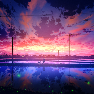 Sunset glow wallpaper