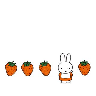 Miffy iPhone wallpaper