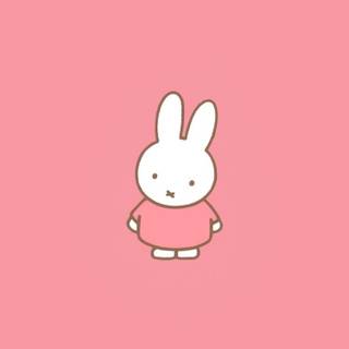 Miffy iPhone wallpaper