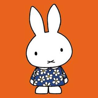 Miffy laptop wallpaper