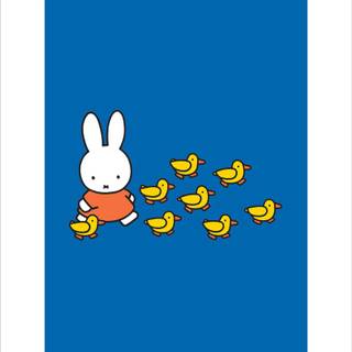 Miffy iPhone wallpaper