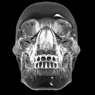 Crystal skull wallpaper