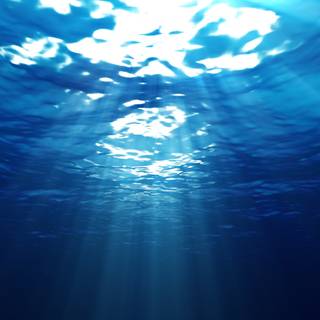 Deep sea 4k wallpaper