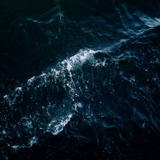 Deep sea 4k wallpaper