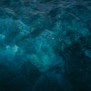 Deep sea 4k wallpaper