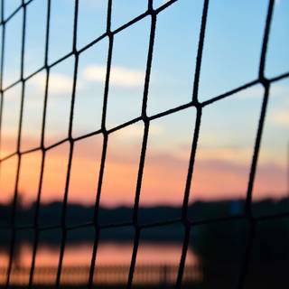 Summer volleyball wallpaper