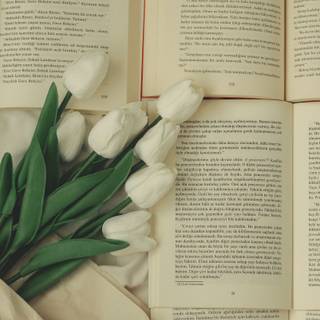 Tulip aesthetic wallpaper