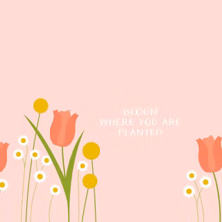 Tulip aesthetic wallpaper