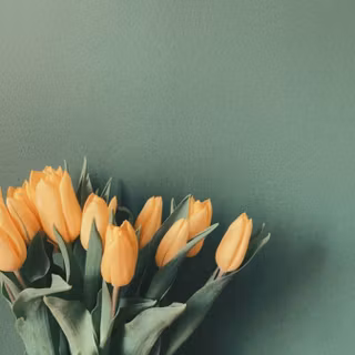 Tulip aesthetic wallpaper