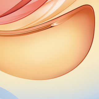 Vivo Y31 wallpaper