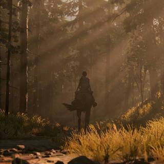 The Last of Us aesthetic wallpaper