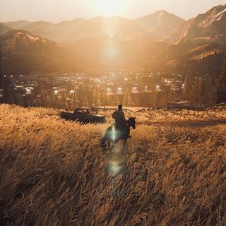 The Last of Us aesthetic wallpaper